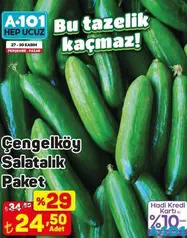 ÇENGELKÖY SALATALIK PAKET fiyat ve kampanya bilgisi